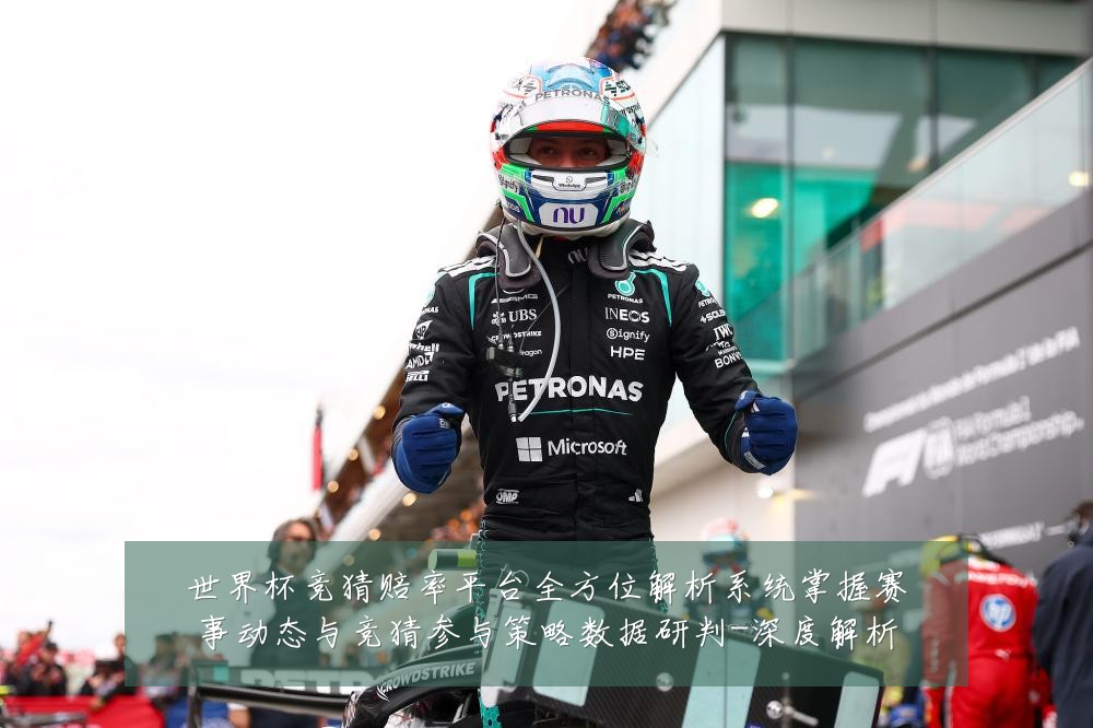 世界杯竞猜赔率平台全方位解析系统掌握赛事动态与竞猜参与策略数据研判-深度解析
