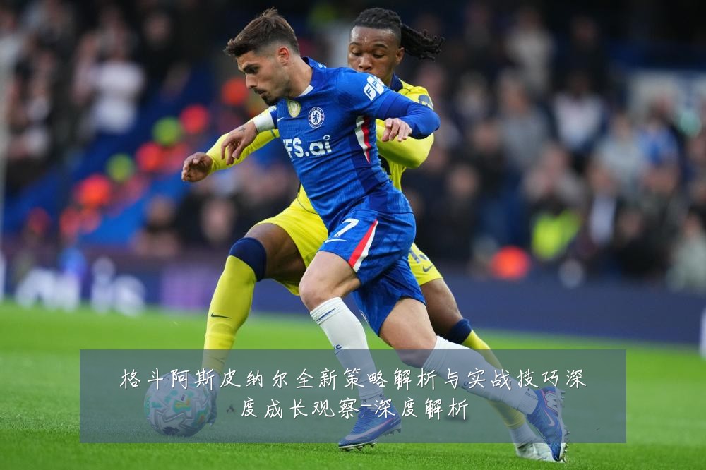 格斗阿斯皮纳尔全新策略解析与实战技巧深度成长观察-深度解析